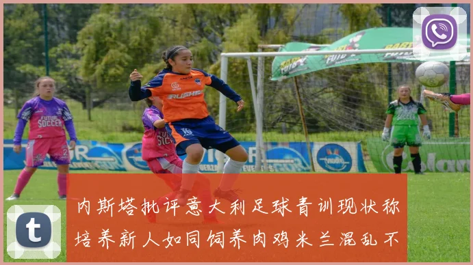 内斯塔批评意大利足球青训现状称培养新人如同饲养肉鸡米兰混乱不堪