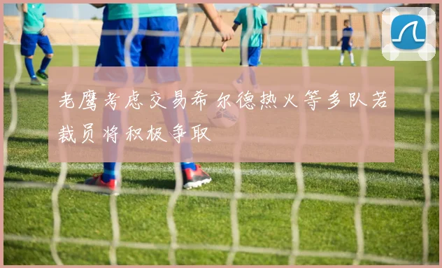 老鹰考虑交易希尔德热火等多队若裁员将积极争取