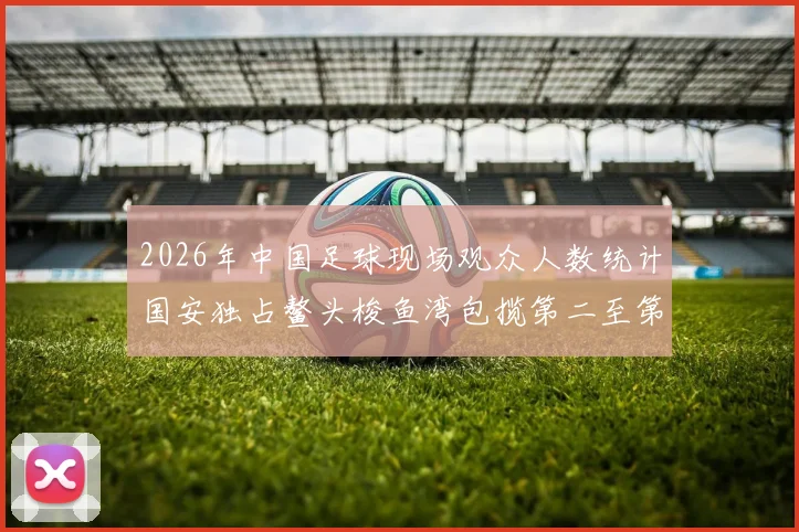 2026年中国足球现场观众人数统计国安独占鳌头梭鱼湾包揽第二至第七位