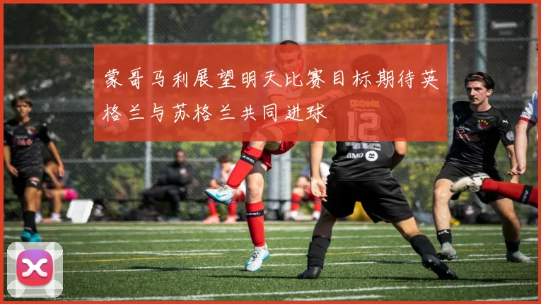 蒙哥马利展望明天比赛目标期待英格兰与苏格兰共同进球