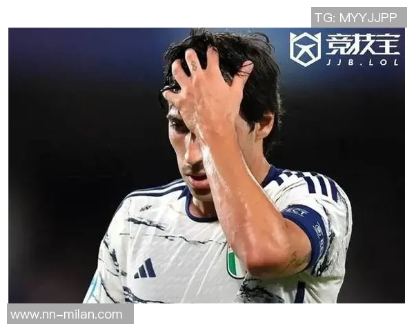 纽卡斯尔领先进球托纳利禁区外射门意外折射助攻成功 纽卡斯尔领先进球托纳利禁区外射门意外折射助攻成功